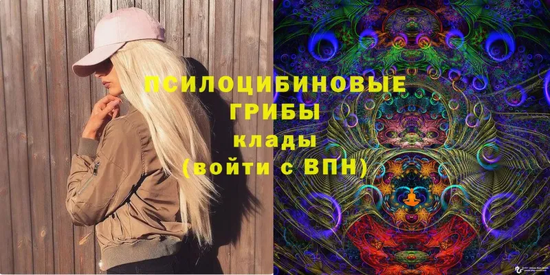 Галлюциногенные грибы Psilocybe  OMG ссылка  Новоаннинский 